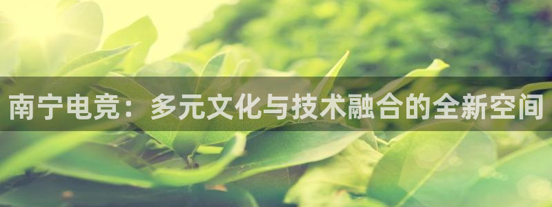 乐鱼电竞平台：南宁电竞：多元文化与技术融合的全新空间