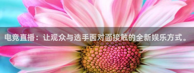 乐鱼电竞英雄联盟app官方