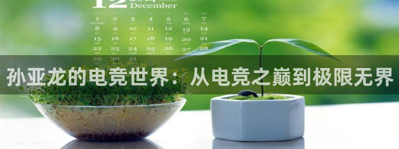 乐鱼电竞下载