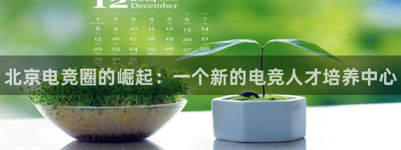 乐鱼电竞官网