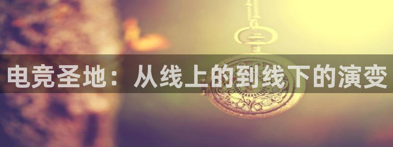 乐鱼电竞网站