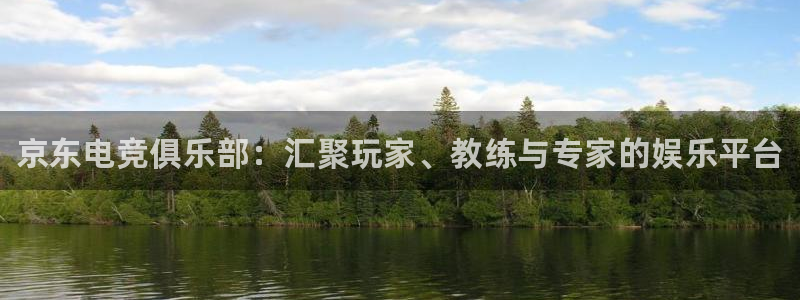 乐鱼电竞app下载