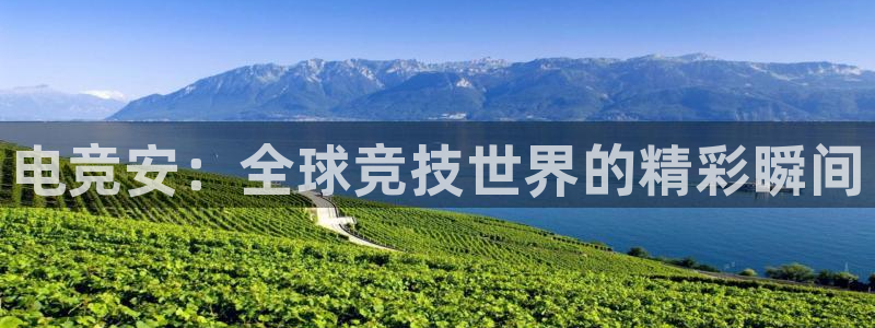 乐鱼电竞官网