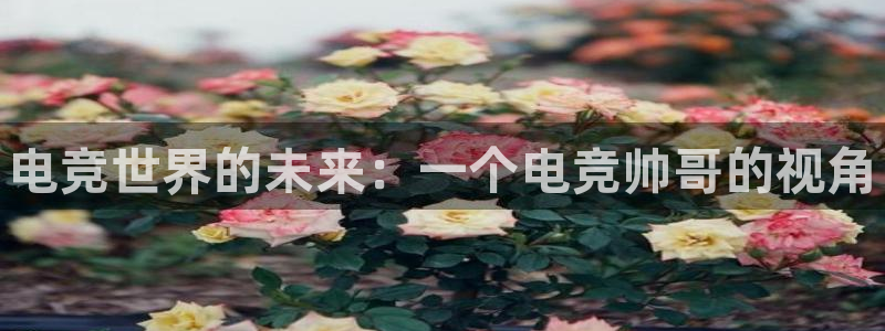 乐鱼电竞官网