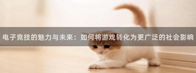 乐鱼电竞英雄联盟app官方