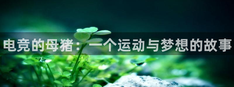 乐鱼电竞官网
