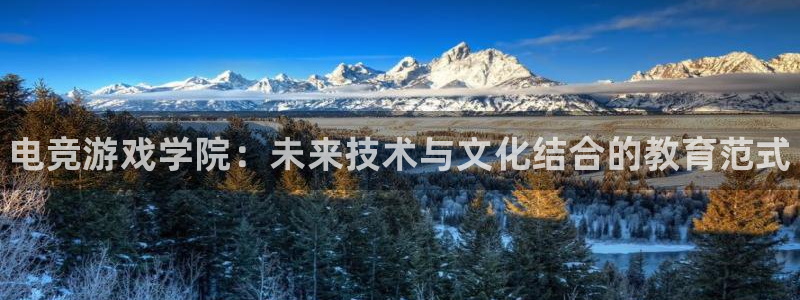 乐鱼电竞官网