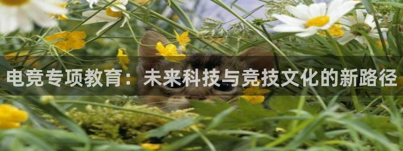 乐鱼电竞app
