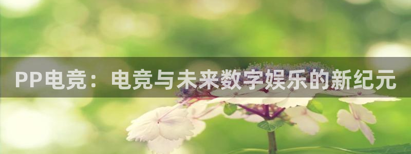 乐鱼电竞app