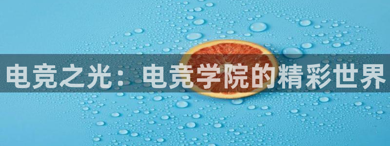 乐鱼电竞网站