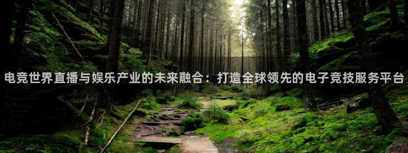乐鱼电竞平台