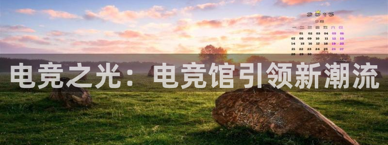 乐鱼电竞网站