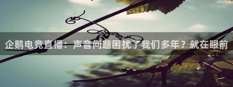 乐鱼电竞网站