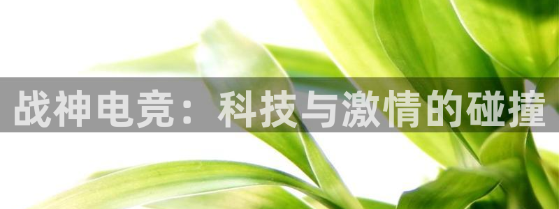 乐鱼电竞平台