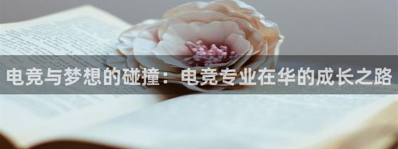 乐鱼电竞平台
