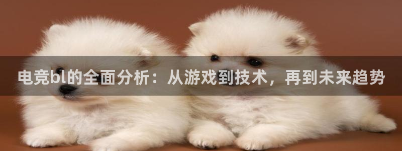 乐鱼电竞平台