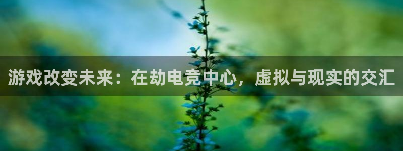 乐鱼电竞英雄联盟app官方