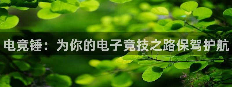 乐鱼电竞官网