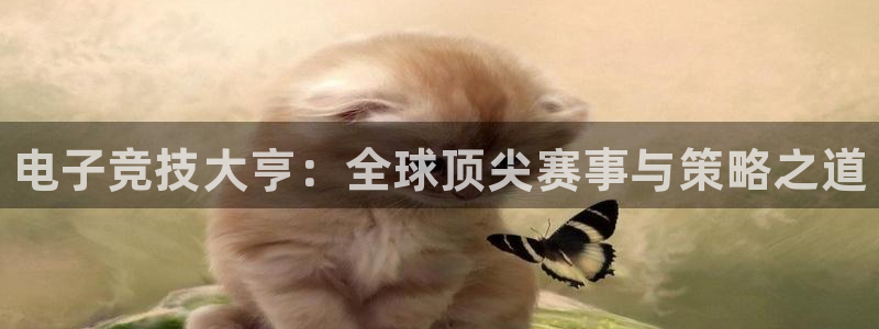 乐鱼电竞平台