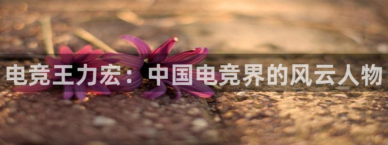 乐鱼电竞app下载