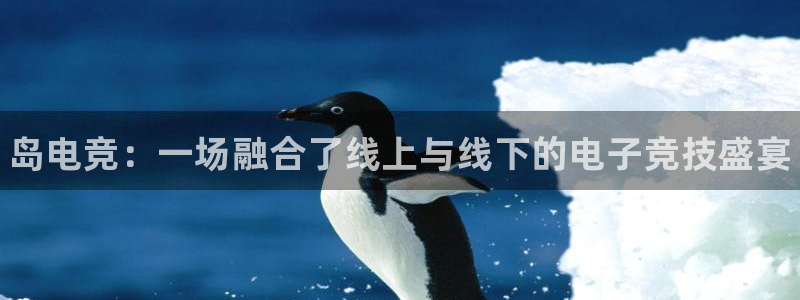 乐鱼电竞