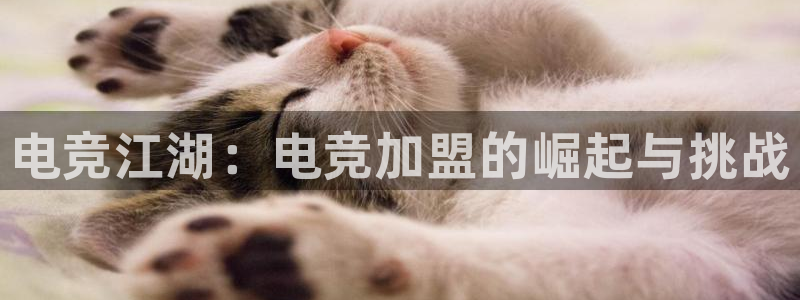 乐鱼电竞英雄联盟app官方