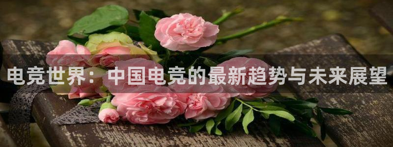 乐鱼电竞下载