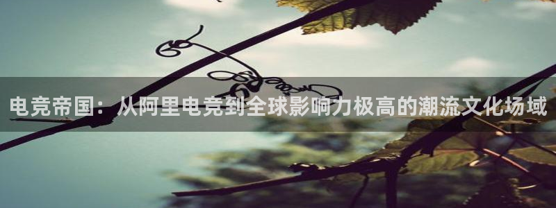乐鱼电竞网站