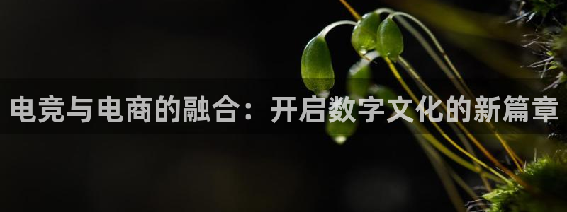 乐鱼电竞平台