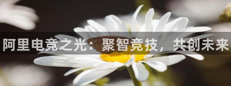 乐鱼电竞平台