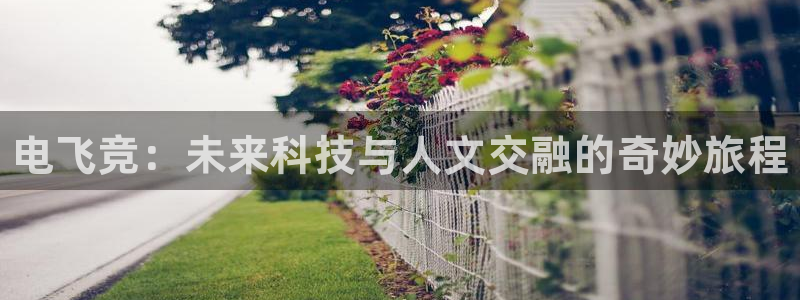 乐鱼电竞英雄联盟app官方