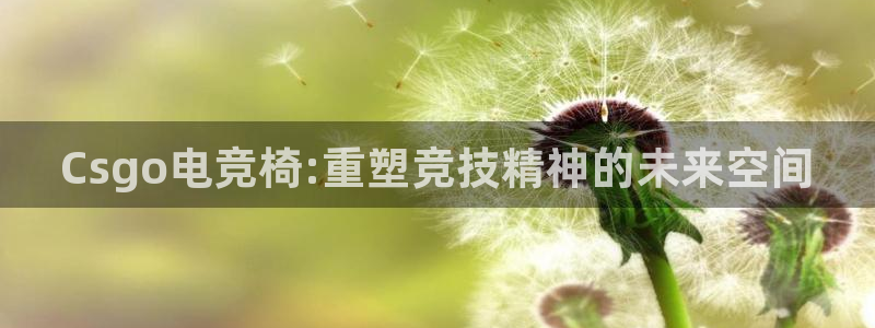 乐鱼电竞下载