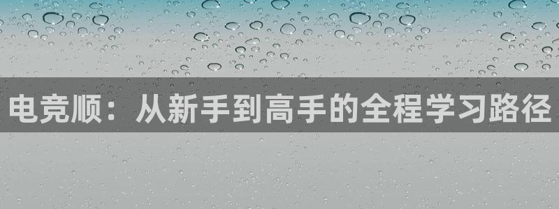 乐鱼电竞