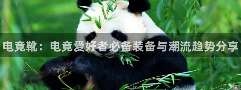 乐鱼电竞官网