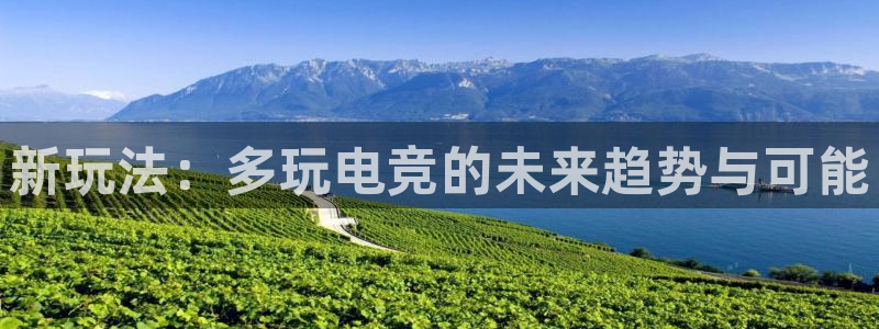 乐鱼电竞下载