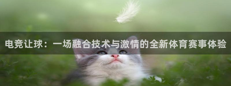 乐鱼电竞网站