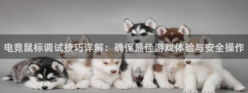 乐鱼电竞官网