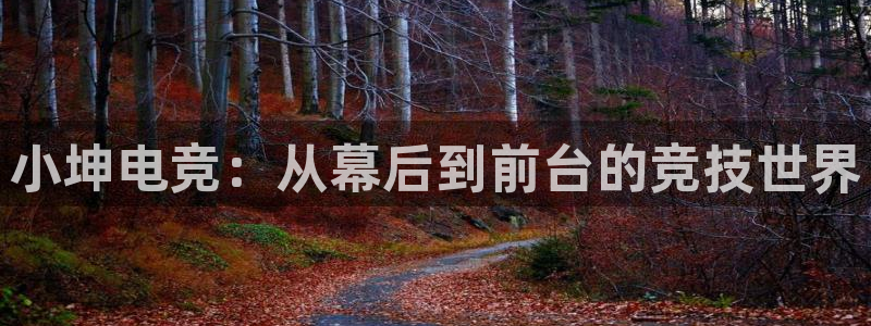 乐鱼电竞app下载