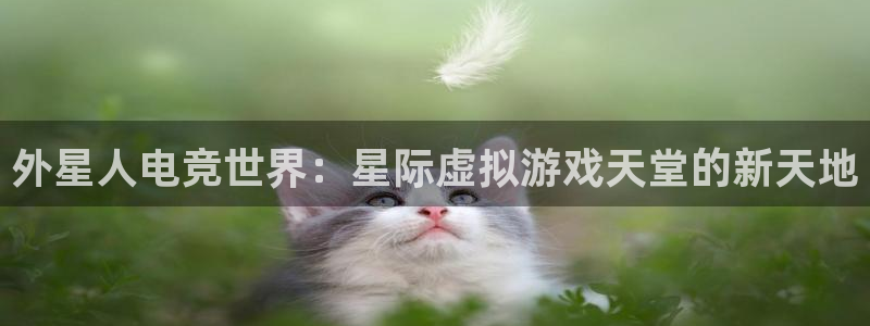 乐鱼电竞