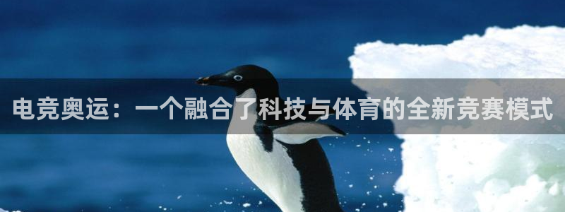 乐鱼电竞app