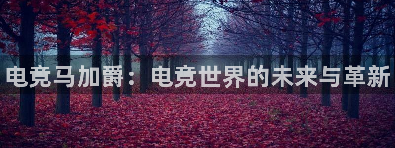 乐鱼电竞平台