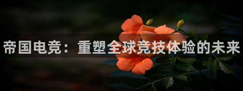 乐鱼电竞