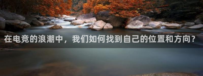 乐鱼电竞app
