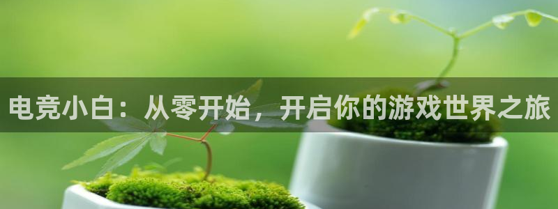 乐鱼电竞平台