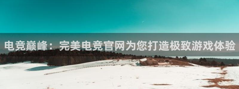 乐鱼电竞网站