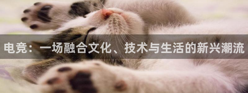 乐鱼电竞平台