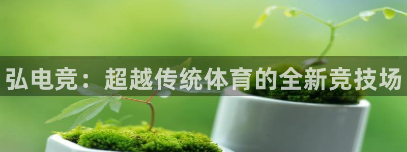 乐鱼电竞官网
