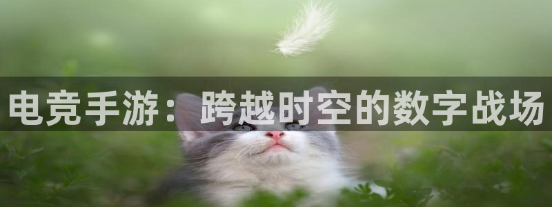 乐鱼电竞下载