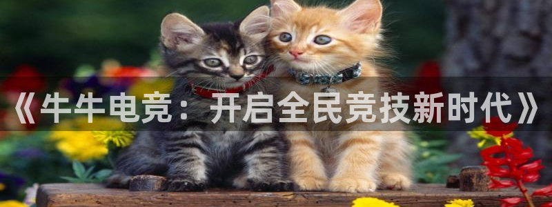 乐鱼电竞平台