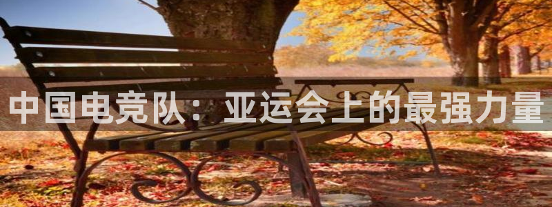 乐鱼电竞app下载